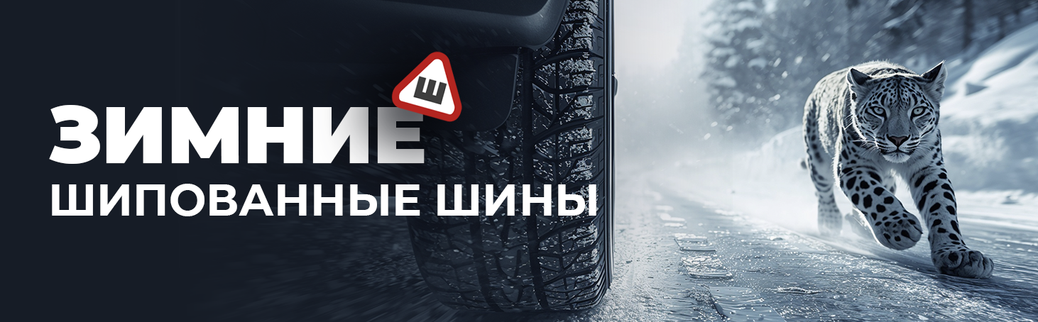 Зимние шипованные шины